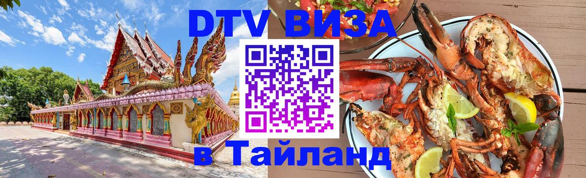 Сколько стоит DTV виза — актуальные цены, оформление даже без документов - Домодедово  09.01.2026 